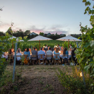 Weinbergstafel_Tafel_Weindinner_fine_dining_Wein_Event_Pfalz_Weingut_Schloss_Janson_Ömotions_Photography