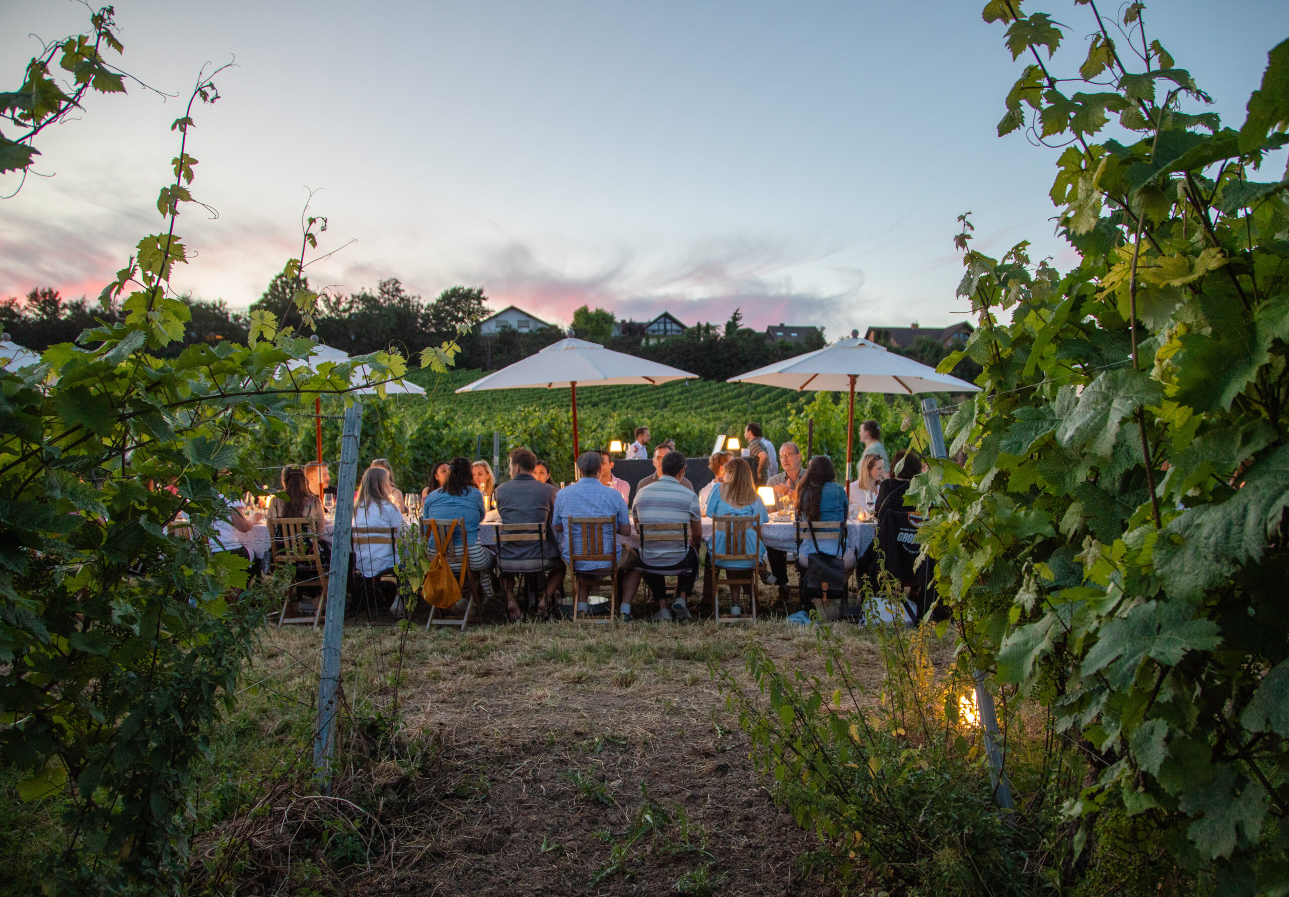 Weinbergstafel_Tafel_Weindinner_fine_dining_Wein_Event_Pfalz_Weingut_Schloss_Janson_Ömotions_Photography